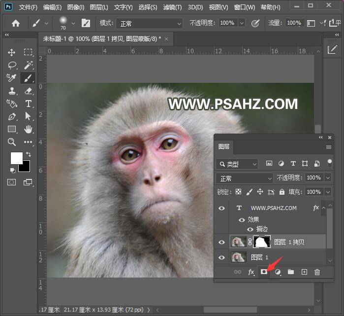 PS动物抠图教程：使用通道工具快速抠出一只猴子。