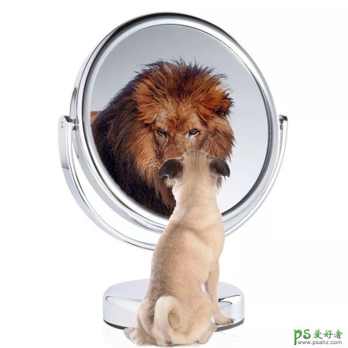 PS创意合成小狗照镜子,原来在小狗的心里自己是草原之王—狮子。