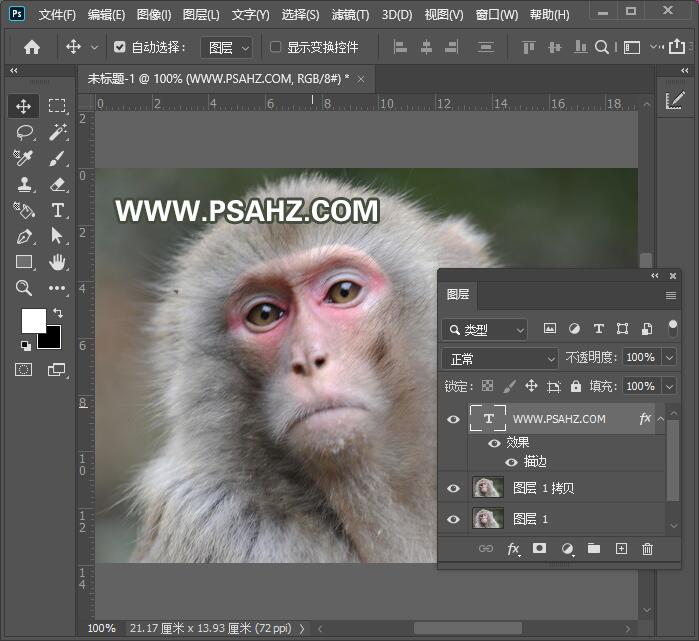 PS动物抠图教程：使用通道工具快速抠出一只猴子。