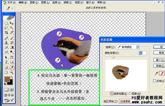 PS制作GIF动画教程：制作一幅小鸟张嘴鸣叫的GIF图片