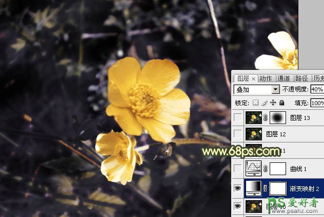 photoshop给近焦花卉图片调出清晰的对比度效果