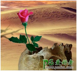 PS场景合成实例：创意打造一幅沙漠死亡之地场景，死亡之花。