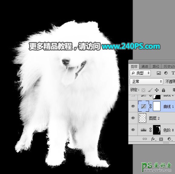 PS换背景教程：用多通道抠图技术给背景复杂的萨摩狗狗照片换背景