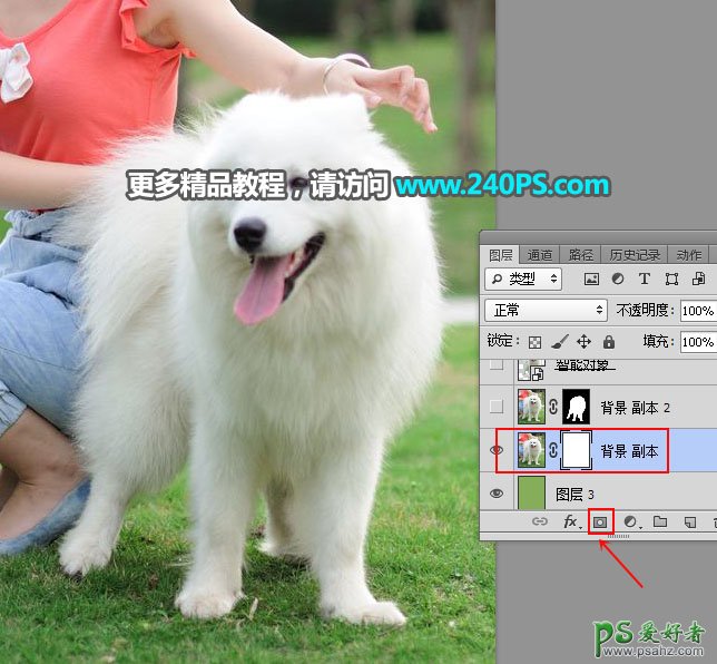 PS换背景教程：用多通道抠图技术给背景复杂的萨摩狗狗照片换背景