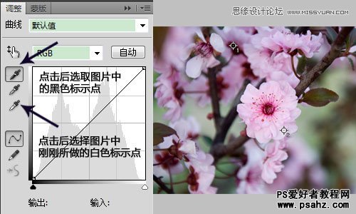 利用photoshop曲线修正灰蒙蒙花朵图片实例教程