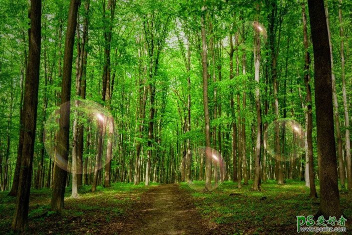 Photoshop制作森林中漂浮的气泡效果图,有种梦幻森系图片的感觉。