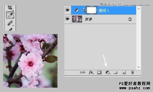 利用photoshop曲线修正灰蒙蒙花朵图片实例教程