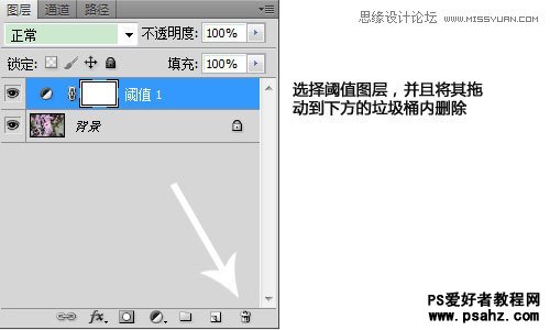 利用photoshop曲线修正灰蒙蒙花朵图片实例教程