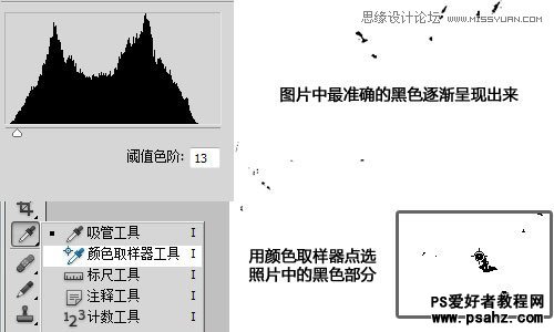 利用photoshop曲线修正灰蒙蒙花朵图片实例教程