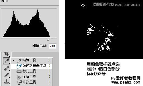 利用photoshop曲线修正灰蒙蒙花朵图片实例教程