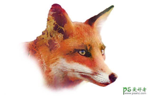PS鼠绘可爱的动物头像教程：手绘水彩动物狐狸的头像，彩绘头像