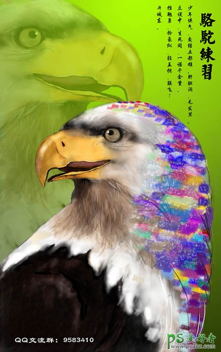 PS鼠绘教程：手绘一只彩色羽毛的鹰图片素材教程
