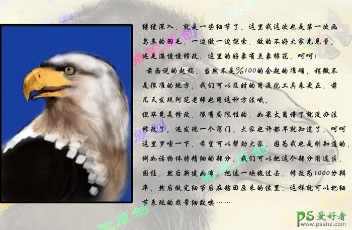 PS鼠绘教程：手绘一只彩色羽毛的鹰图片素材教程