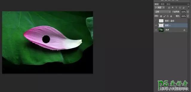Photoshop绘制荷叶花瓣上逼真的水珠,一颗晶莹剔透的水珠。