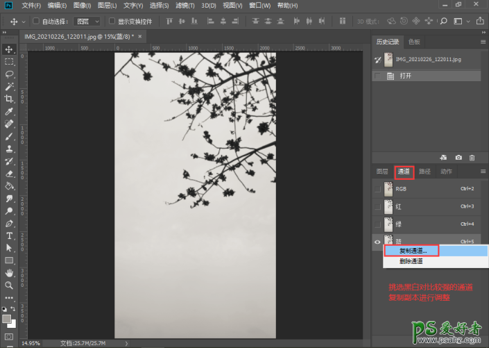 巧用Photoshop通道工具快速抠出中国风梅花素材图,抠出细小的花朵