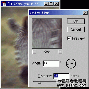 PS滤镜应用技巧：使用柔化滤镜调整斑马的图片