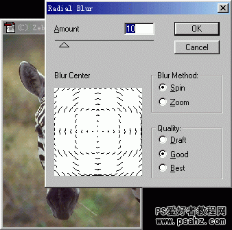 PS滤镜应用技巧：使用柔化滤镜调整斑马的图片