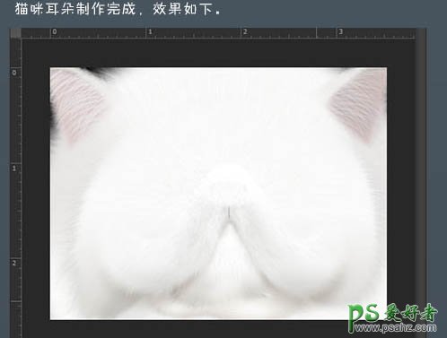 ps鼠绘教程：可爱动物头像制作，绘制憨厚可爱的小白猫头像
