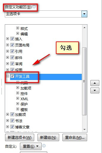 Word2010如何显示开发工具选项卡3