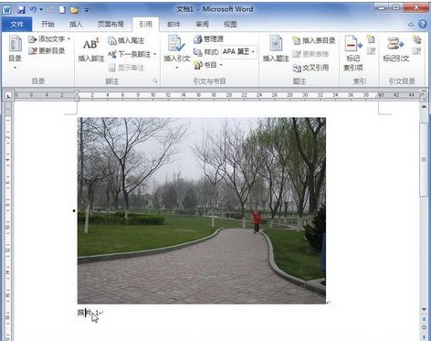 Word2010怎样添加图片题注5