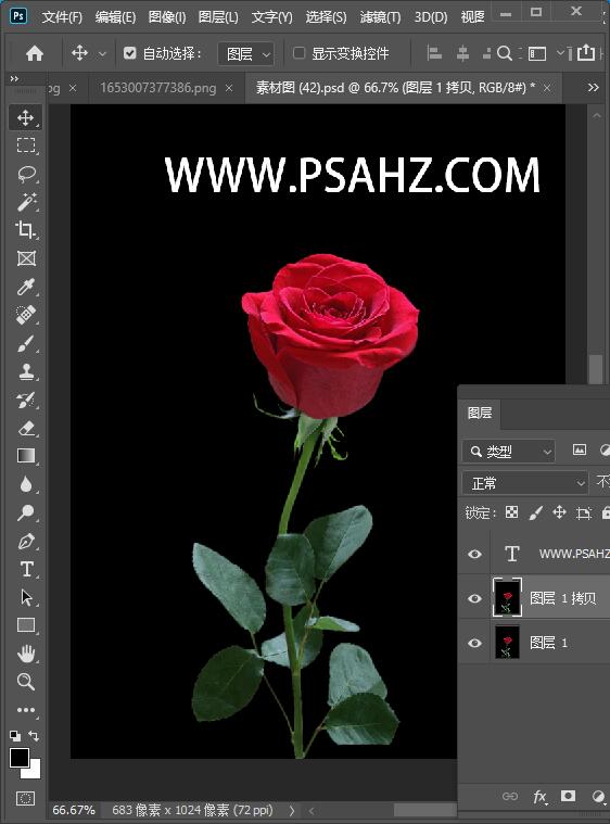 PS合成教程：今天是520了我们来合成一朵漂亮的火玫瑰。