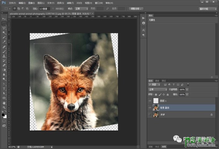 PS图片后期教程：学习给可爱的小狐狸图片制作成LOWPOLY多边形效