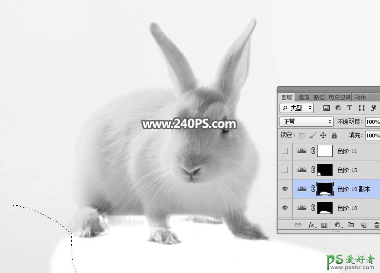 Photoshop快速抠出背景色彩简单的动物图片，抠出可爱的小白兔。