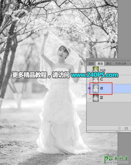 Photoshop给树林中拍摄的丰满迷人少女婚纱照进行快速抠图换背景