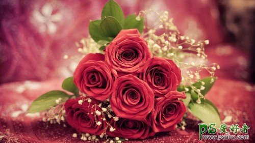 色彩鲜艳的高清玫瑰花桌面壁纸图片-唯美高清玫瑰电脑壁纸图案