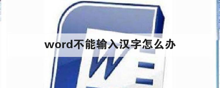 word不能输入汉字怎么办