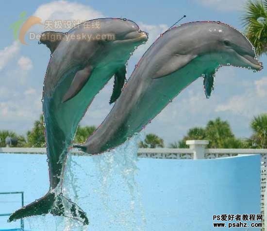 PS照片特效教程：制作海豚跃出相框的效果实例教程