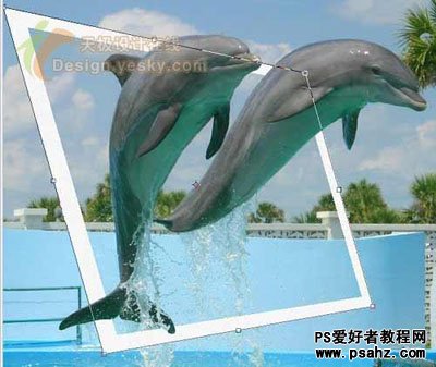 PS照片特效教程：制作海豚跃出相框的效果实例教程