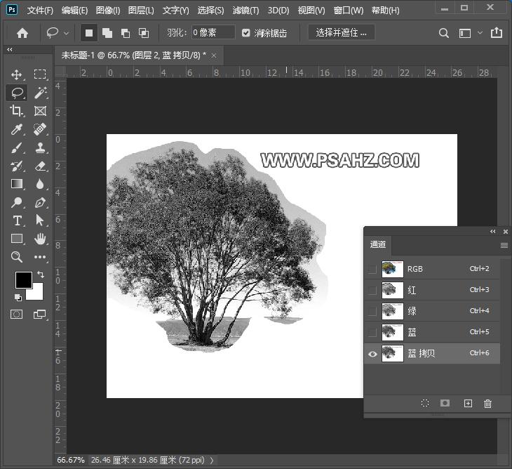 PS抠图教程：用通道及色阶工具快速抠出户外风景照片中的一棵大树