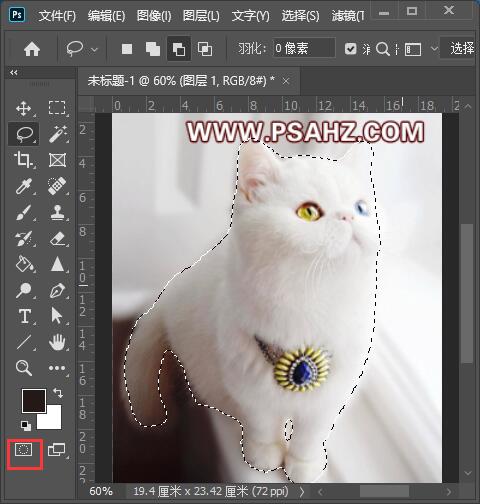 PS简单抠图教程：将白色背景下的白色猫咪轻松抠出，毛绒动物抠图