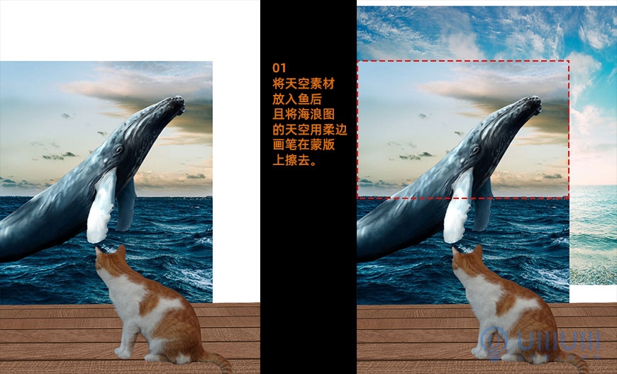 PS合成教程：创意设计鲸鱼和小猫海盗相遇的壮观场景。