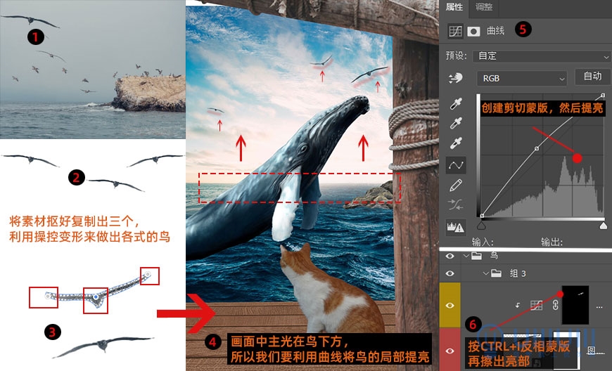 PS合成教程：创意设计鲸鱼和小猫海盗相遇的壮观场景。