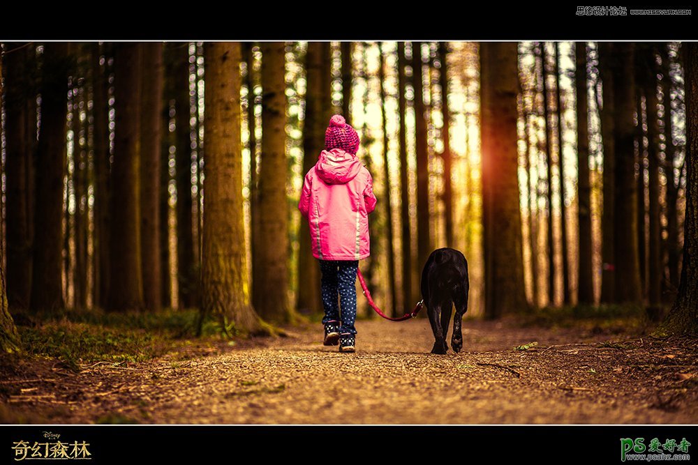PS照片后期：给奇幻树林中可爱的小女孩照片制作出金色夕阳美景