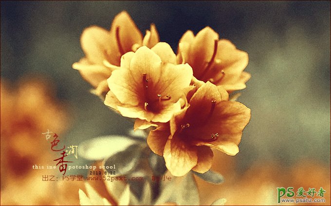photoshop制作古色古香暗金色效果的花卉特写图片
