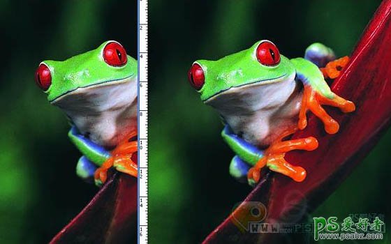 photoshop创意合成一只正在溶解的青蛙恐怖图片