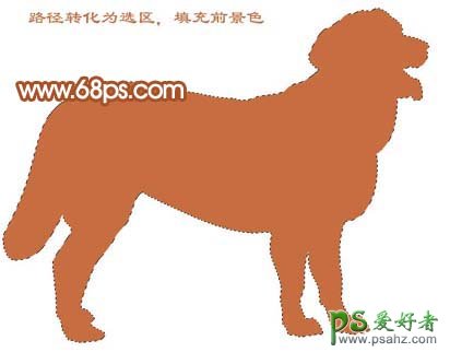 PS鼠绘教程：手绘漂亮的金毛犬，漂亮的小黄狗
