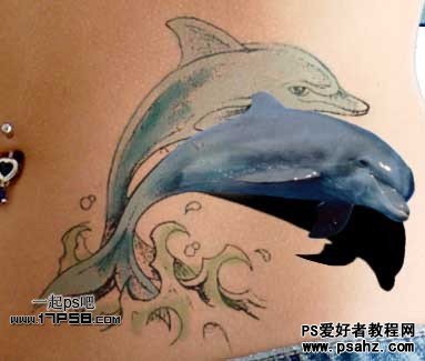 photoshop合成立体感的海豚纹身效果