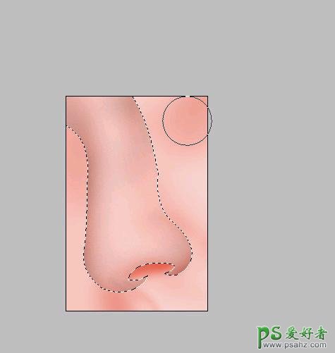 PS鼠绘教程：绘制人物脸部逼真的鼻子实例教程