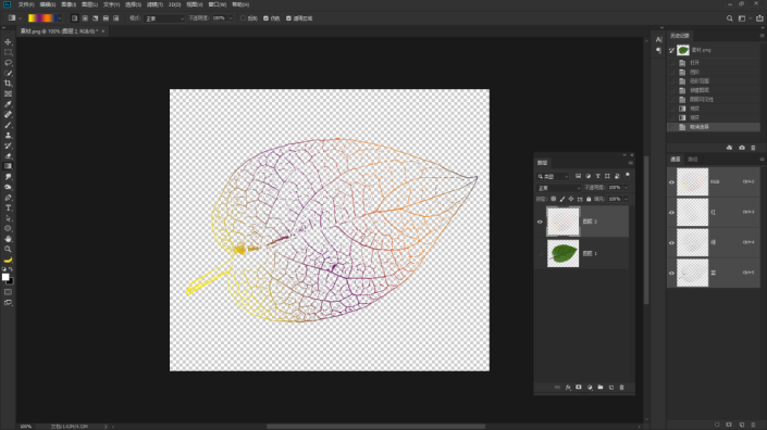 利用ps通道和色彩范围来提取出树叶的脉络做出树叶剪影效果。