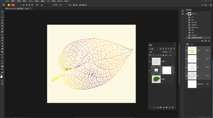 利用ps通道和色彩范围来提取出树叶的脉络做出树叶剪影效果。