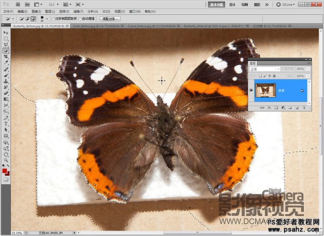 photoshop创意合成画框中的蝴蝶标本