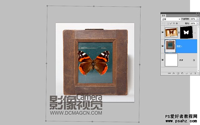 photoshop创意合成画框中的蝴蝶标本
