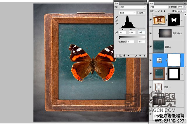 photoshop创意合成画框中的蝴蝶标本
