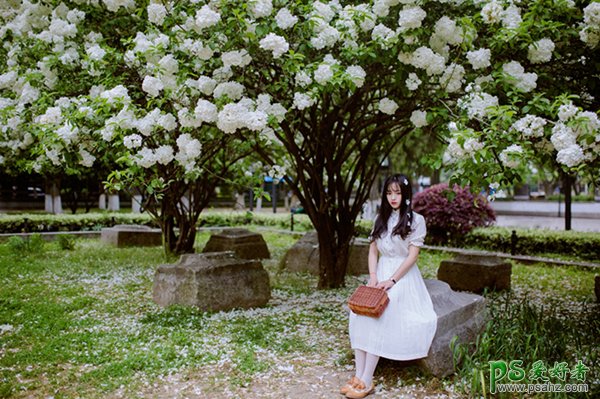 梦幻青春未成年少女花海写真集，唯美少女醉心花海自拍个人写真照