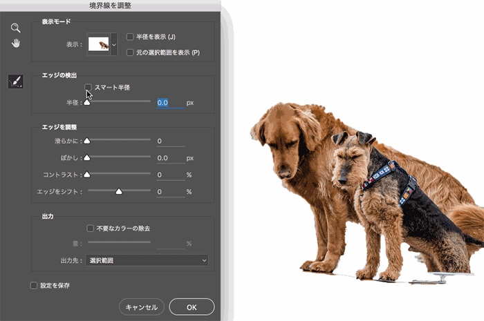 PS抠图实例教程：教您用调整边框工具快速抠出多绒毛的小狗图片