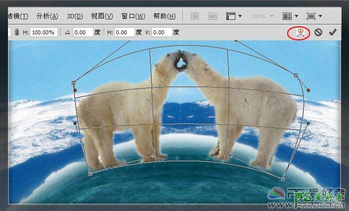 PS海报设计：用北极熊、虎鲸及地球素材合成出大气的海洋生态环境